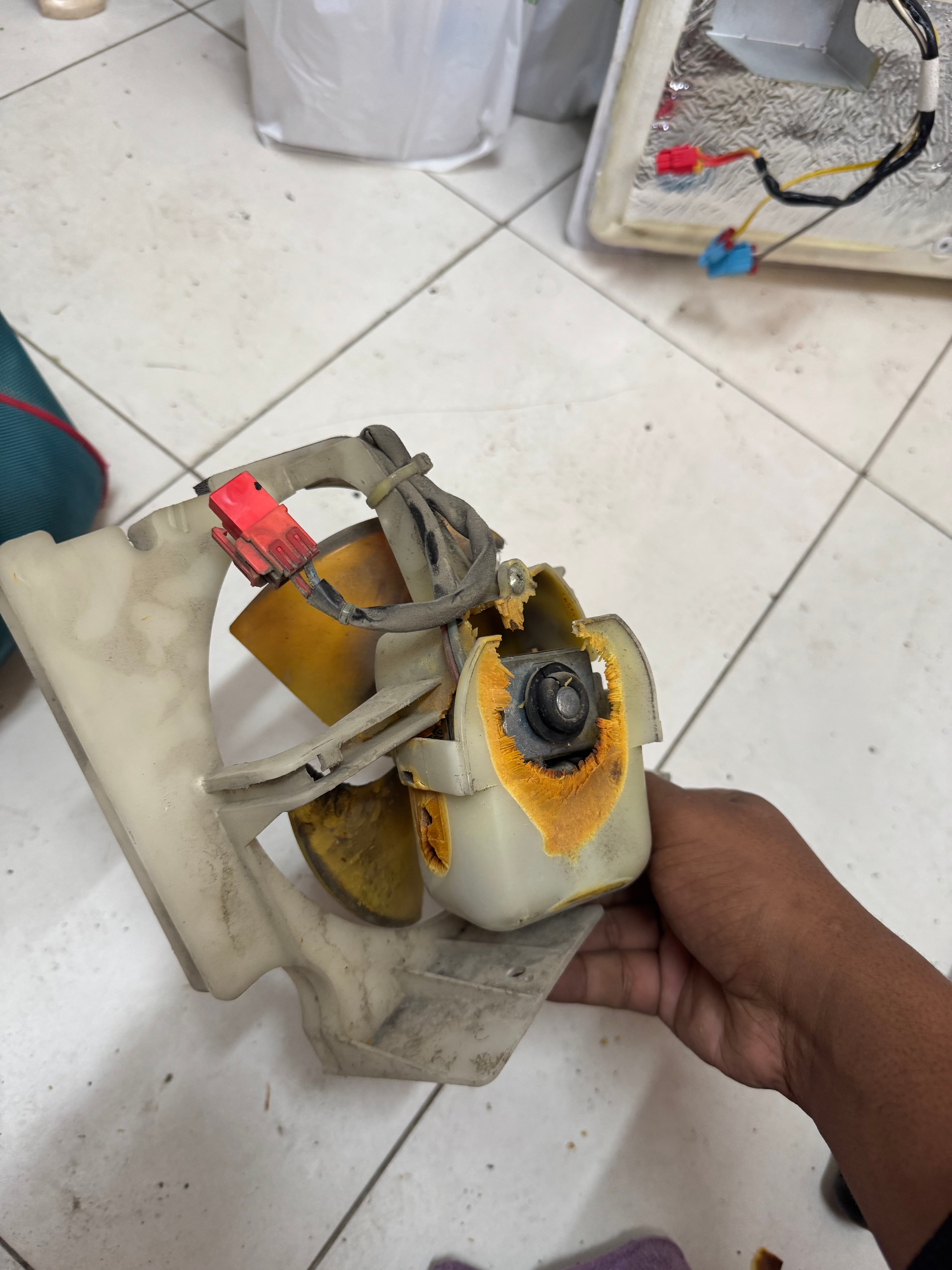 Why refrigerator making strange noises? — image 1